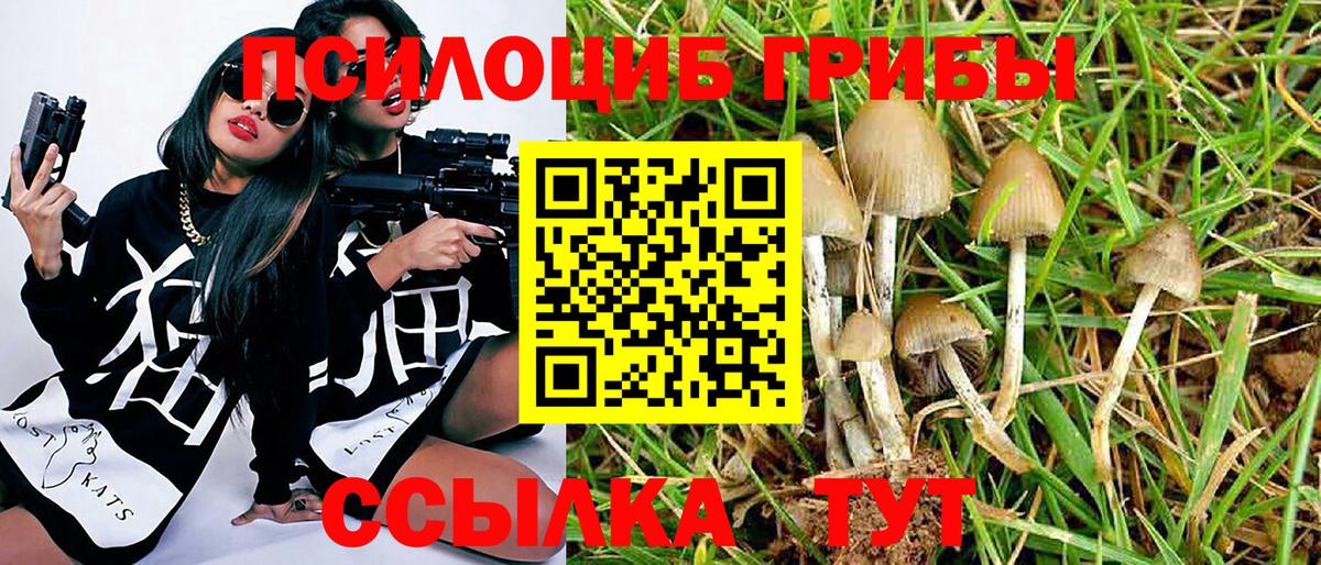 Галлюциногенные грибы прущие грибы  как найти наркотики  Вход с VPN  Серпухов  Галлюциногенные грибы Psilocybe 